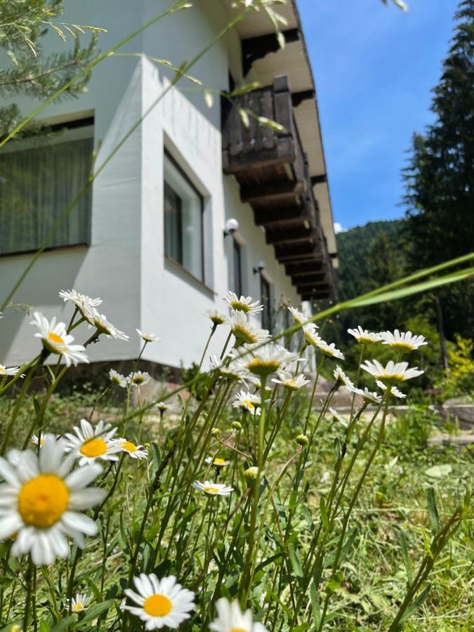 Cottage house Mizhhirya  Esterno foto