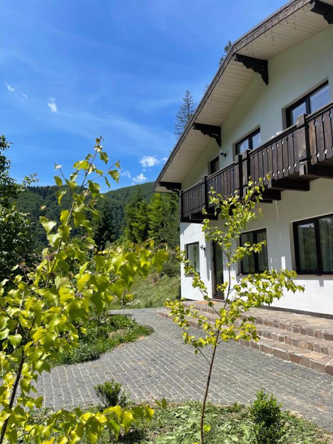 Cottage house Mizhhirya  Esterno foto