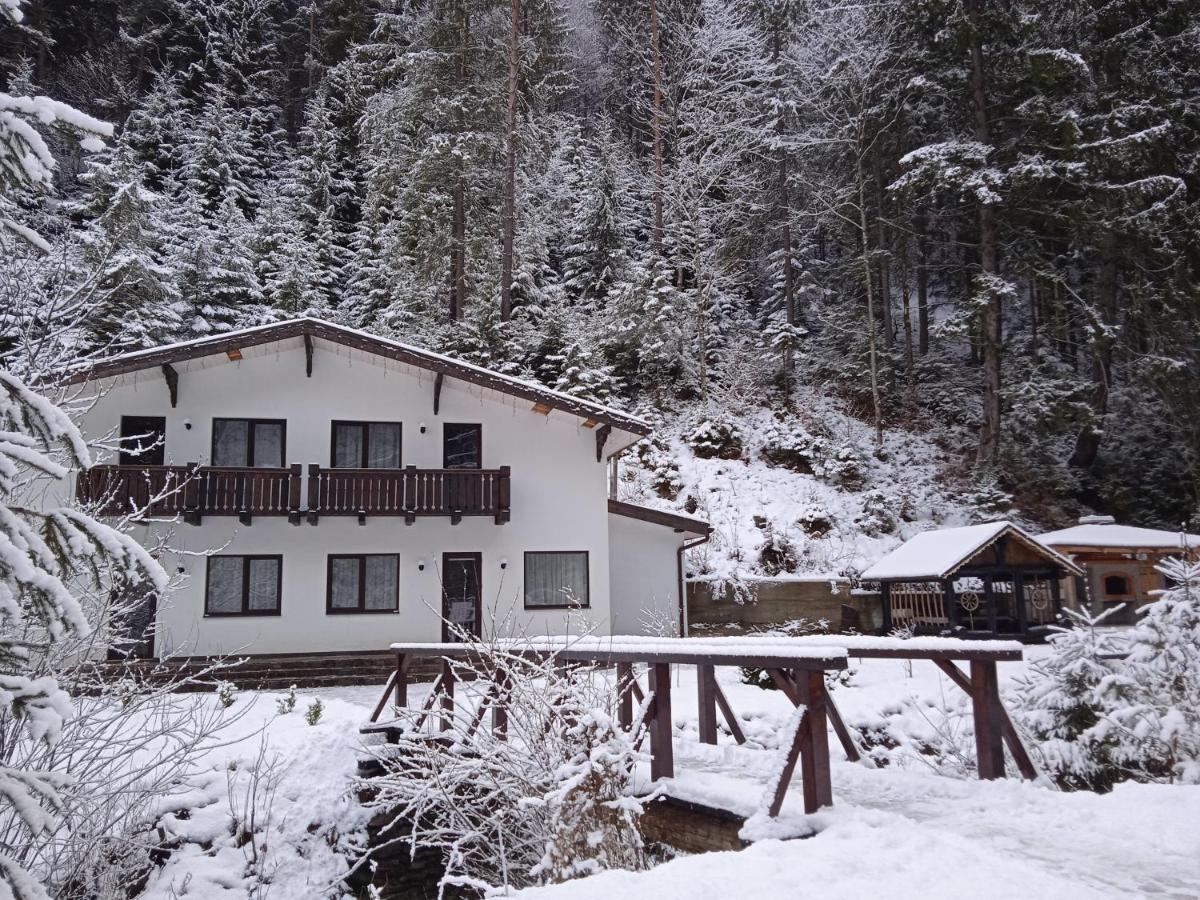 Cottage house Mizhhirya  Esterno foto