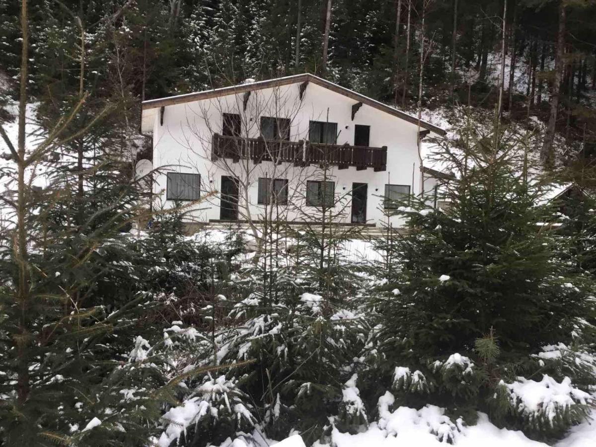 Cottage house Mizhhirya  Esterno foto