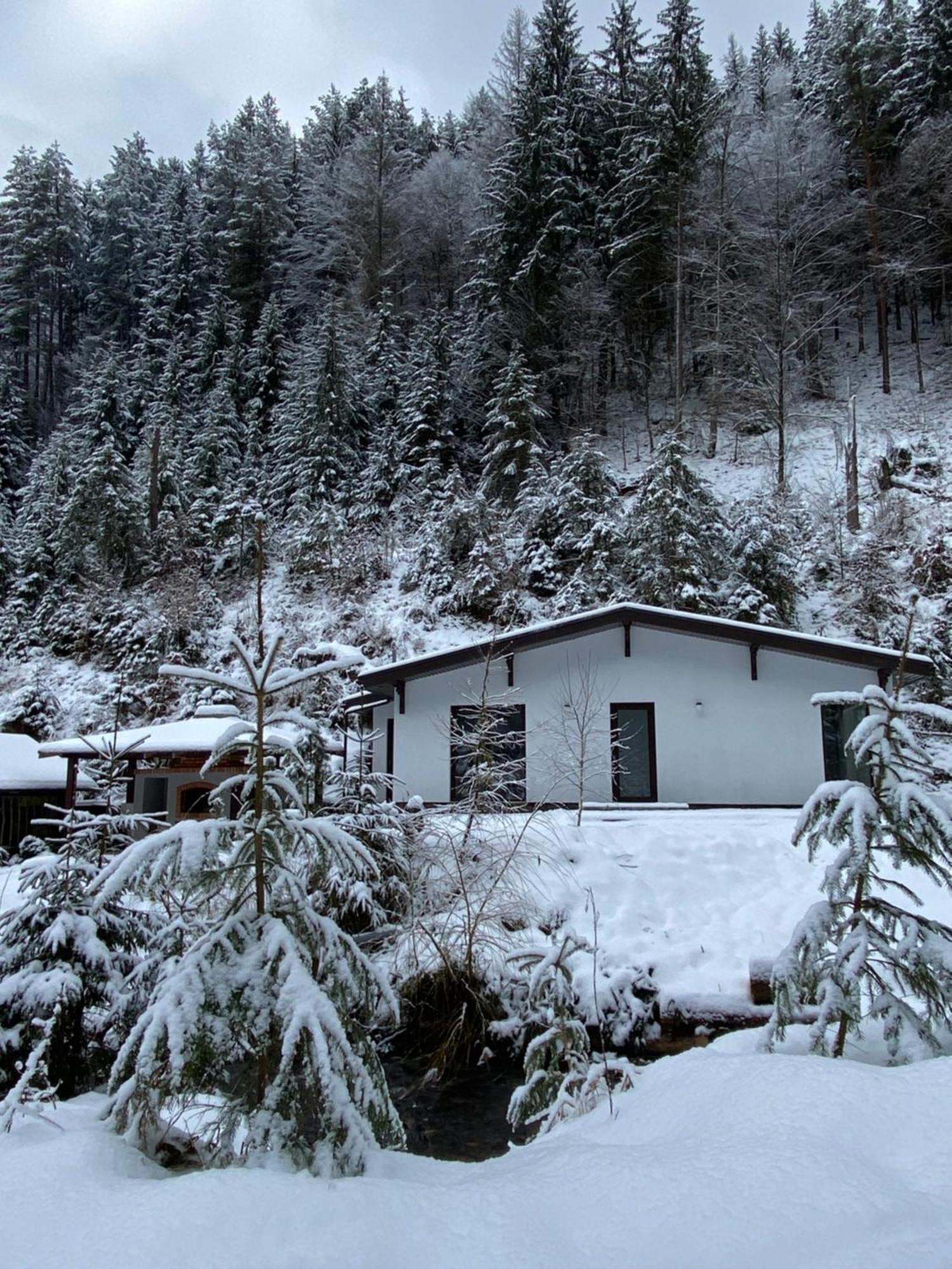 Cottage house Mizhhirya  Esterno foto