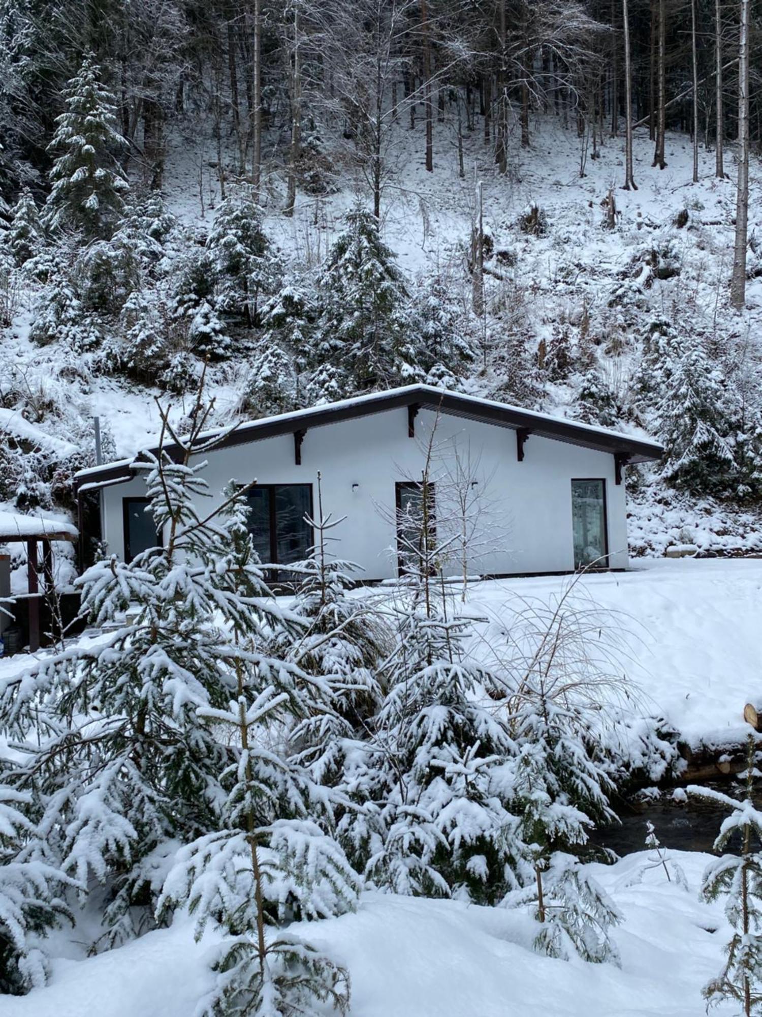 Cottage house Mizhhirya  Esterno foto